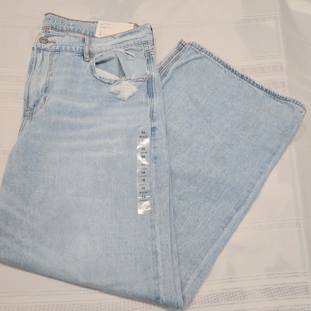 American Eagle Outfitters Light Blue Low- Rise Skater Jeans